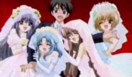 后宫动画短视频